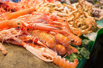 Fresh Prawns (Shrimp)