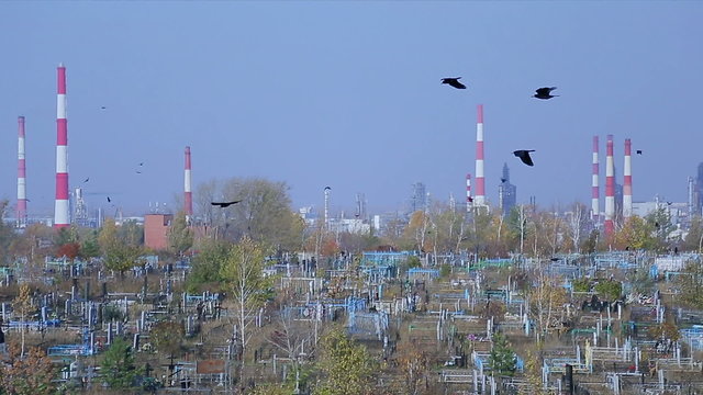 Cemetery on the background of an oil refinery