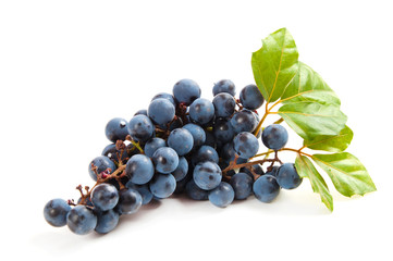 blue grapes with leaf on white background