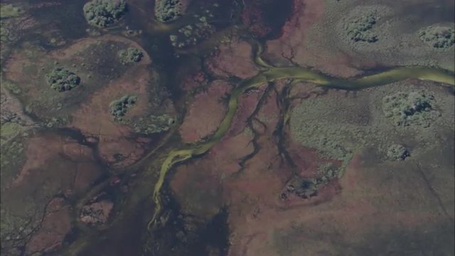River Delta