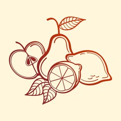 Vector Fruits. Apple, pear and lemons. line art
