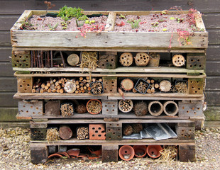 A Garden Shelter for Wild Animals and Insects.