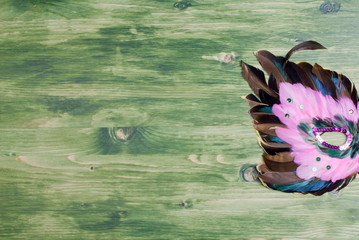 beautiful mask of feathers on green blackboard