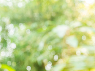 Fototapeta premium Background from natural light bokeh.