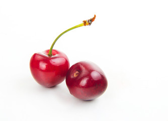 fresh isolated red cherries