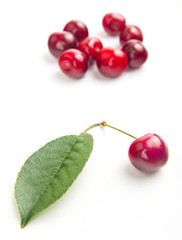 one isolated red cherry with leaf and other in blur