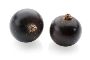 black currant on white background