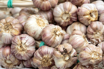 Close up of bulbs of fresh garlic