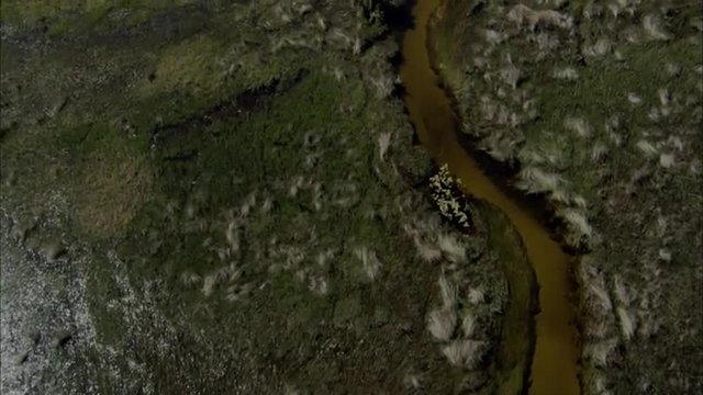 River Delta