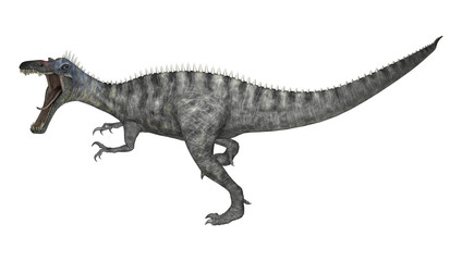 Obraz na płótnie Canvas Dinosaur Suchomimus