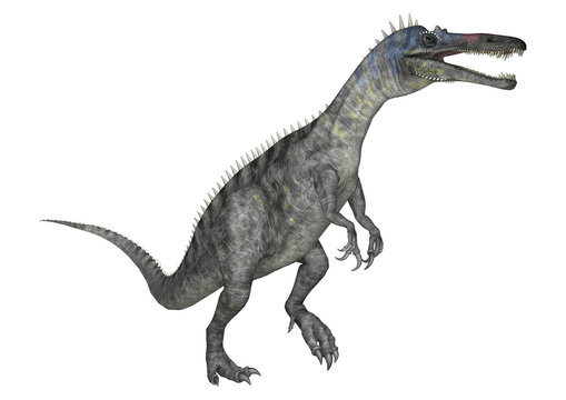 Dinosaur Suchomimus