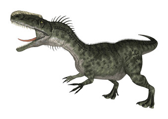 Dinosaur Monolophosaurus