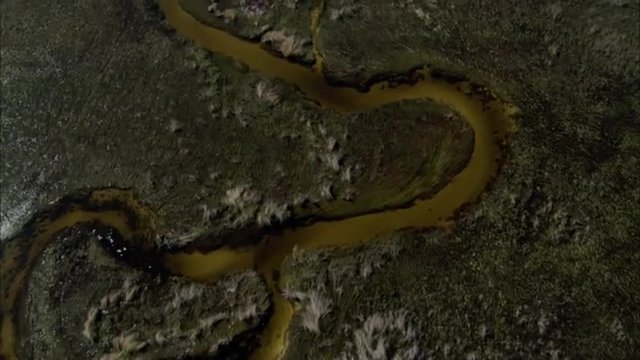River Delta
