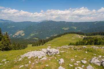 Golte forest, Slovenia