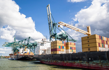 container ship in harbor terminal and cranes i