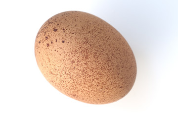 Maran, Huehnereier, braunes, gesprenkelt