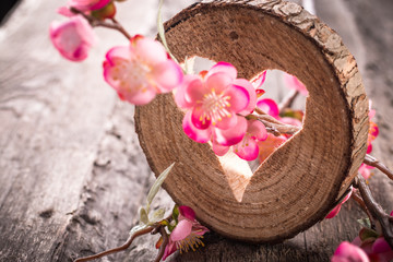 Light  heart on rustic wooden background