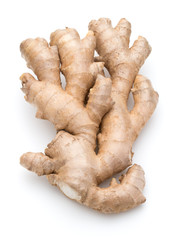 Fresh ginger root or rhizome isolated on white background cutout