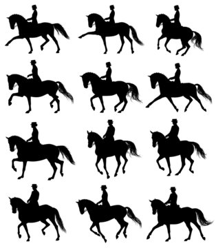 Set of 12 dressage horses with rider