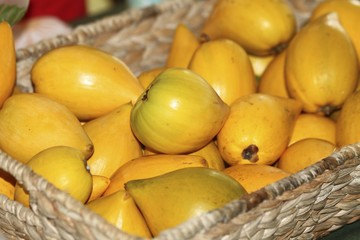 Eggfruit - Canistel Fruit