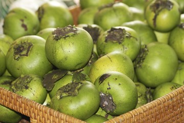 Black Sapote - Chocolate Pudding Fruit