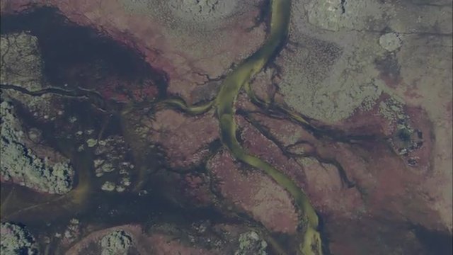 River Delta