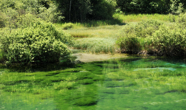 Sava spring, Zelenci, Slovenia