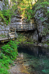 Obraz na płótnie Canvas Bled gorge