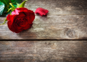 Fototapeta na wymiar Valentine's day background with red roses