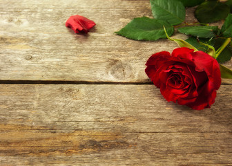 Valentine's day background with red roses