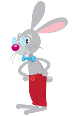 Obraz premium Funny rabbit