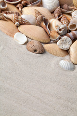 Sand and shells