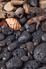 Shells and volcanic stones