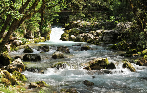 nature landscape