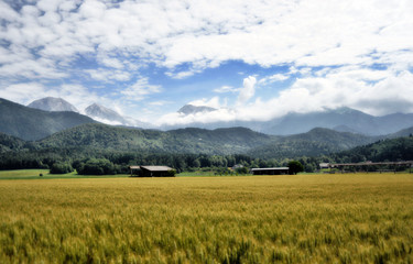 Gorenjska landscape, Slovenia