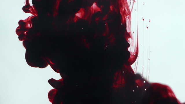 Abstract dynamic flow of dark red blood ink in water on white