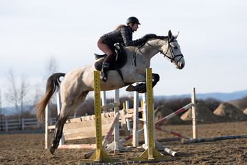 horse jumping