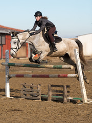 horse jumping