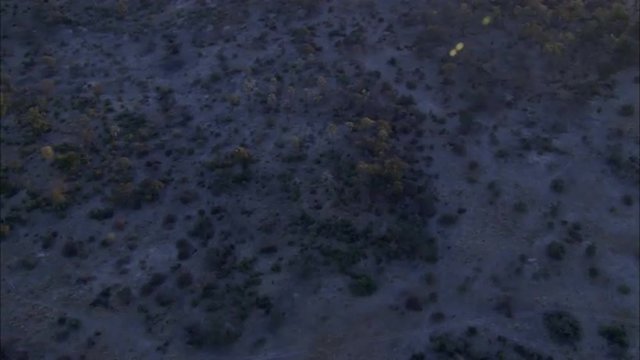 Dry Delta