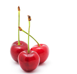 Cherry isolated on white background