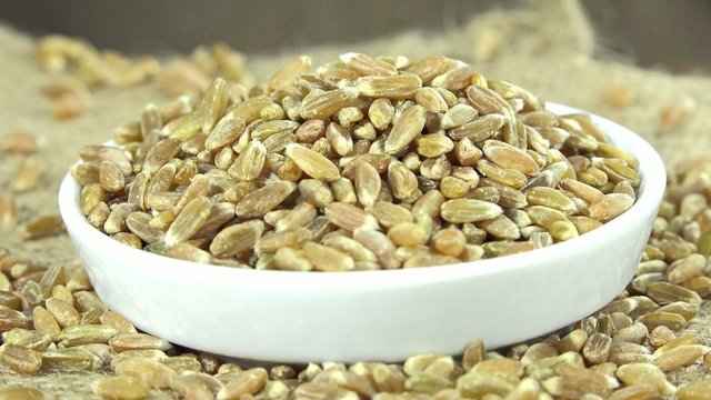 Heap of Green Spelt (not loopable)