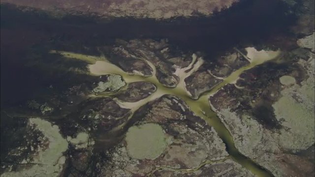 River Delta