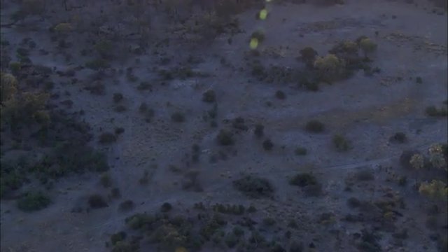 Dry Delta