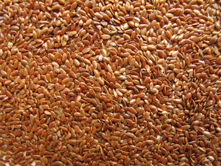 Semillas de Lino / Linen Seeds