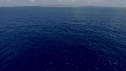 Голубой океан фильм