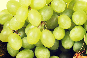 Close up on fresh green grapes.