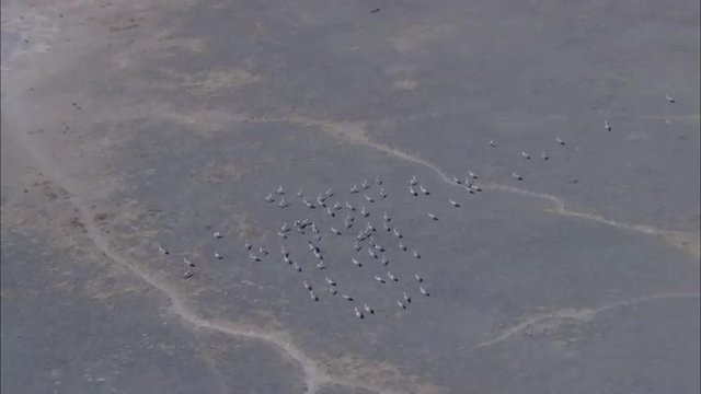 River Delta