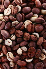 Coffee beans closeup