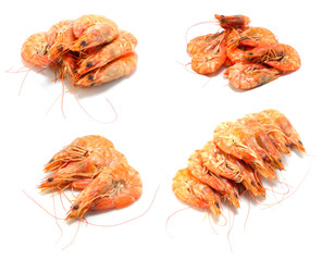 shrimp isolated on white background