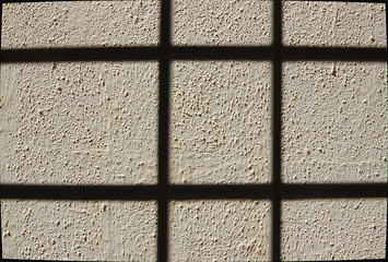 View of Grained Wall